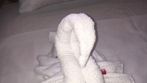 A bed with white linens and a towel arranged in a swan shape. - Matus Guest House (San Ignacio)