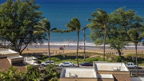 Une vue sur la côte, avec une plage, des palmiers et des voitures garées.