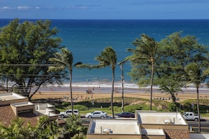 Vista sulla costa con spiaggia, palme e auto parcheggiate.