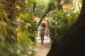 Taman