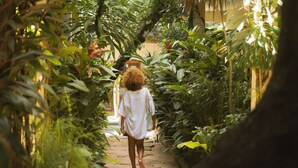 A pathway surrounded by lush greenery, leading to a building. - CasaLô Hotel (Jijoca de Jericoacoara)
