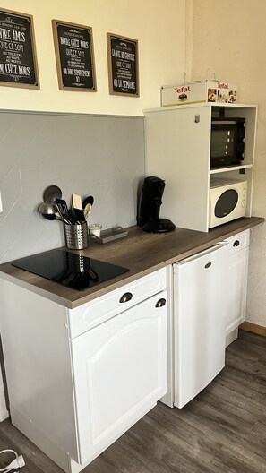 Fridge, microwave, oven, stovetop - 3-person studio at the foot of the slopes (Ustou)