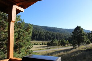 Terrain de l’hébergement 