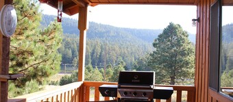 Charming Cabin with Mountain Views on 2 acres