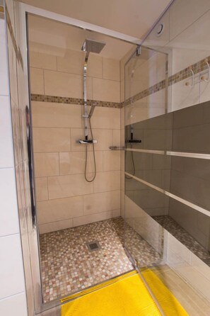 Shower, hair dryer - Chez Emilie & Charles (Hunawihr)