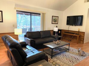 TV, fireplace, DVD player, video library