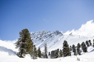 A snow-covered mountain with a ski lift and evergreen trees.