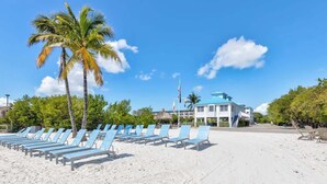 A beach with rows of blue lounge chairs, a large building with a blue roof, and palm trees. - Catch the Day, Toast the Night- Fish, Dive & Island Vibes! (Tavernier)