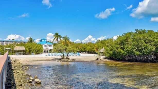 A beachfront hotel with clear waters, palm trees, and a sandy beach. - Catch the Day, Toast the Night- Fish, Dive & Island Vibes! (Tavernier)