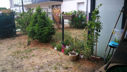 Verdure et sérénité 🧘‍♂️