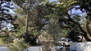 A residential area with a white building, a tree, and a parked car.