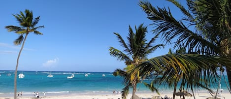 パノラミック スイート 4 ベッドルーム オーシャンビュー オーシャンフロント | 部屋からの景観