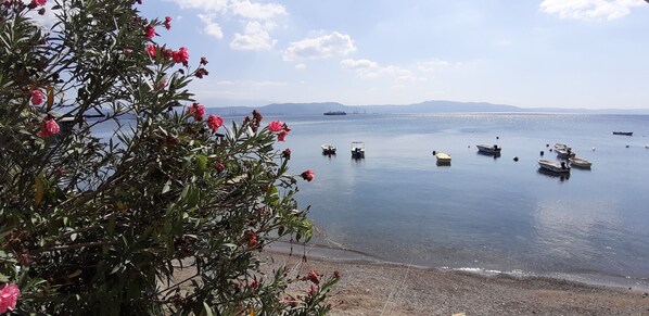 Apartment | Beach/ocean view - Apak Apart Otel (Gemlik)