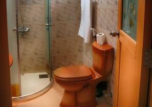 Shower, rainfall showerhead, towels - Villa de Negombo (Negombo)