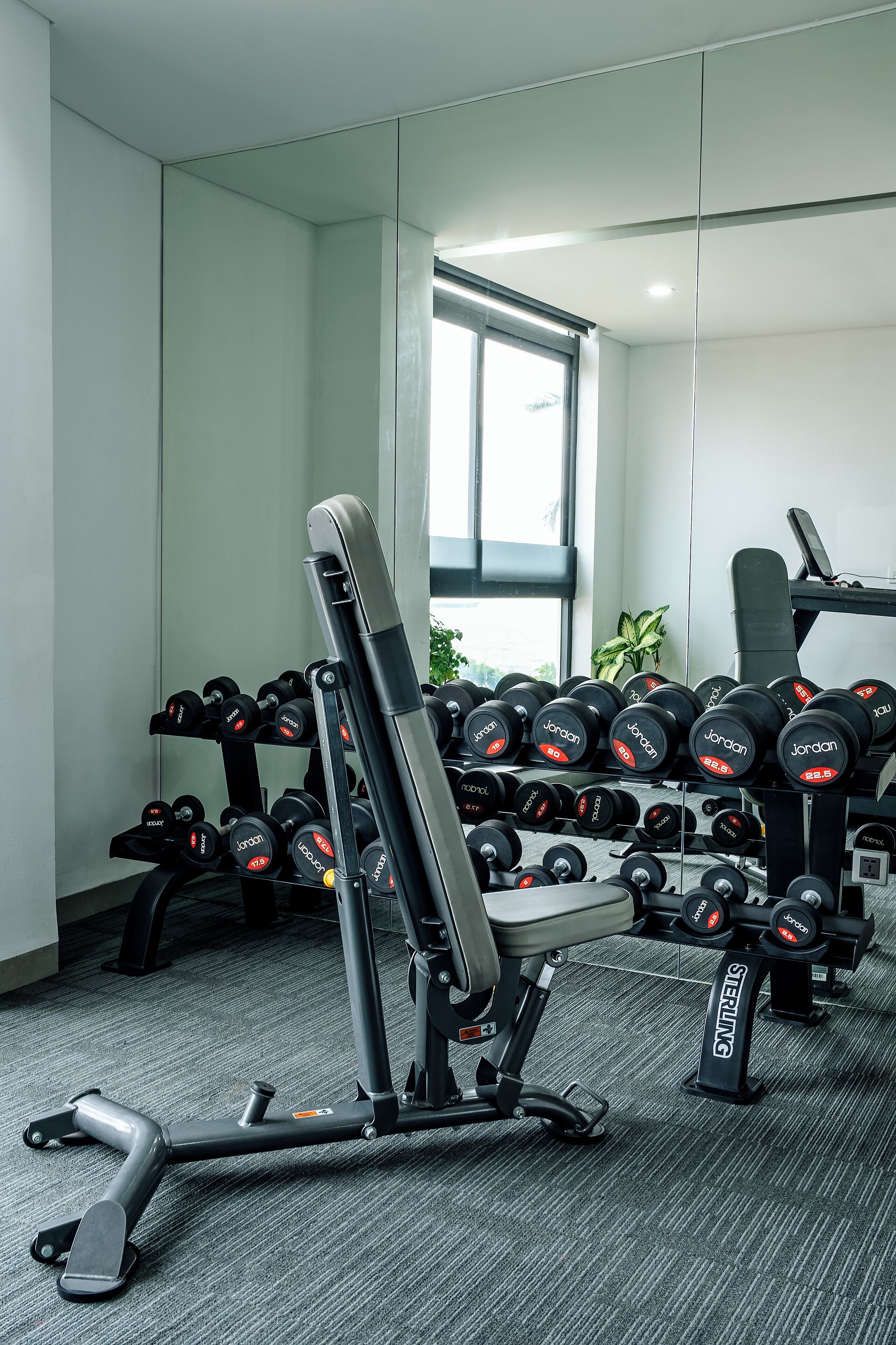 A gym with weightlifting equipment, including dumbbells and a bench.