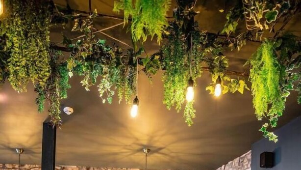 L’intérieur d’un restaurant agrémenté de plantes suspendues, de murs en pierre et de meubles en bois.
