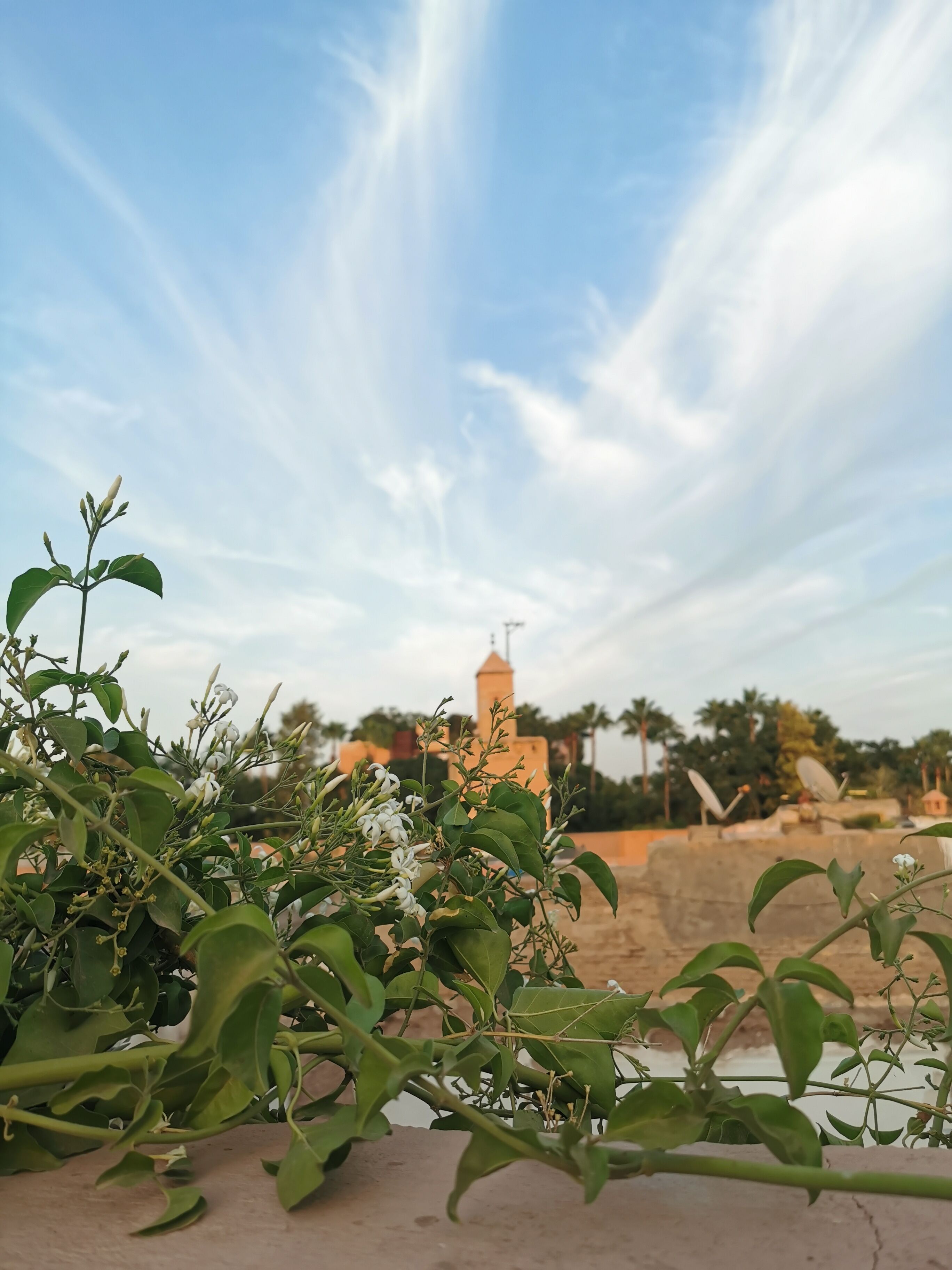 Foto - Riad Beata Bed & Breakfast