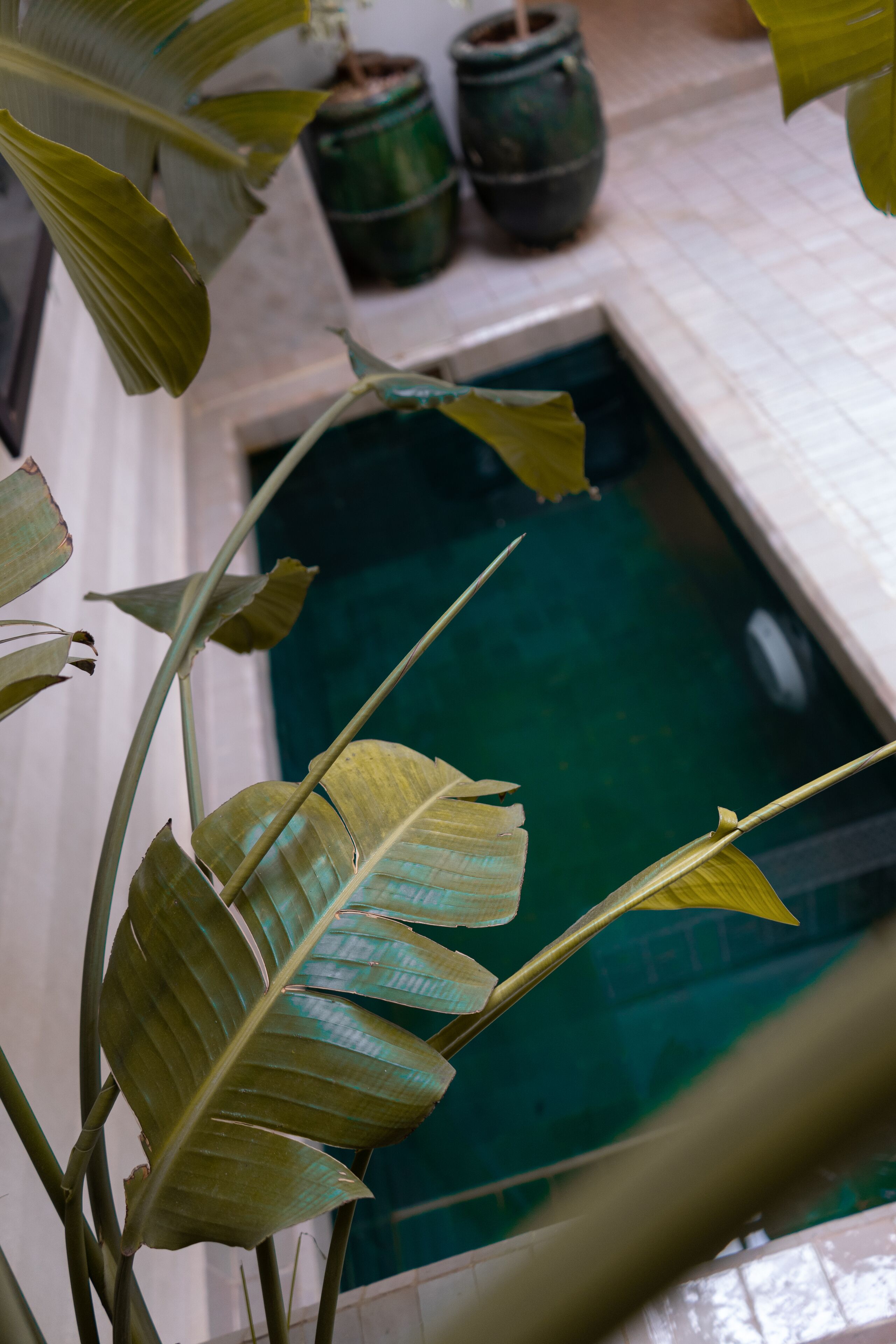 Foto - Riad Beata Bed & Breakfast