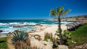 Uma praia com costa rochosa, uma palmeira e uma construção com telhado de palha.
