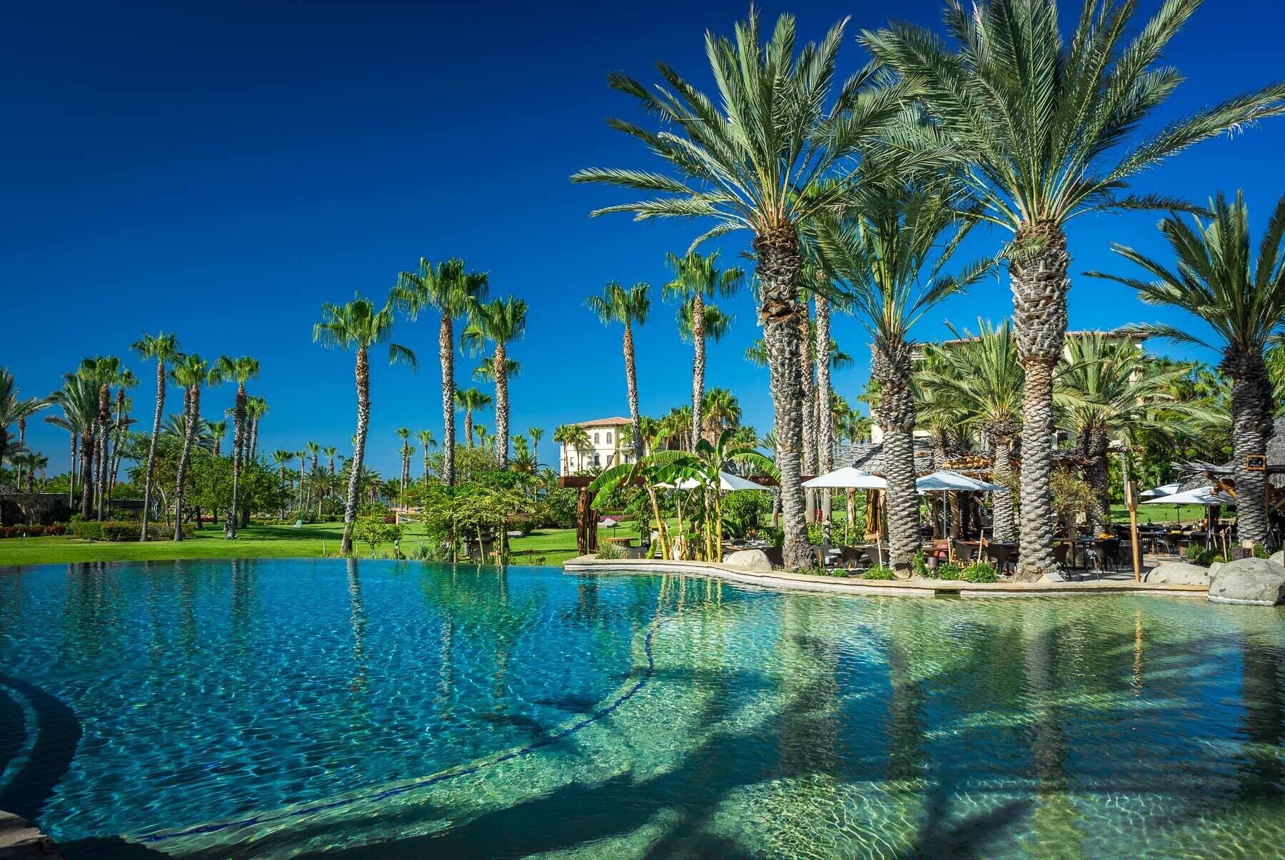 A clear pool surrounded by palm trees and outdoor seating areas.