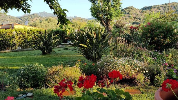 Um jardim com diversas plantas e flores, gramado e montanhas ao fundo.
