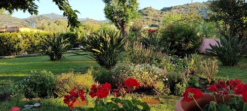 Villa Mariolla muutaman metrin päässä merestä, Villasimius