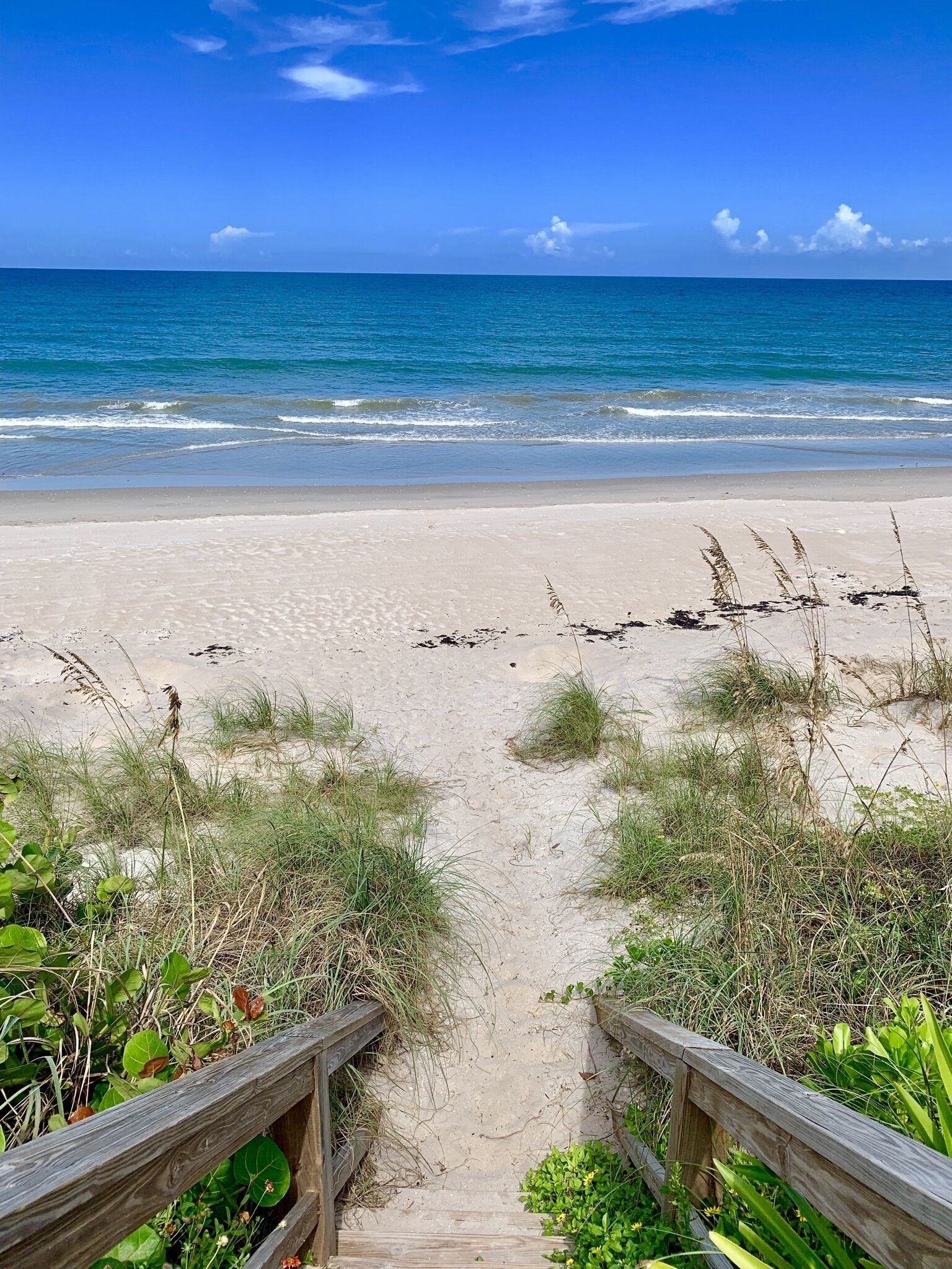 Plage, chaises longues, serviettes de plage