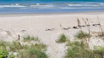 Plage, chaises longues, serviettes de plage