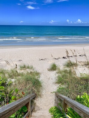 On the beach, sun loungers, beach towels - Sea Turtle Suite 2, Oceanfront boutique cottage at Serenity in Melbourne Beach! (Melbourne Beach)