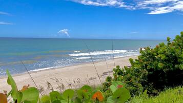 On the beach, sun-loungers, beach towels