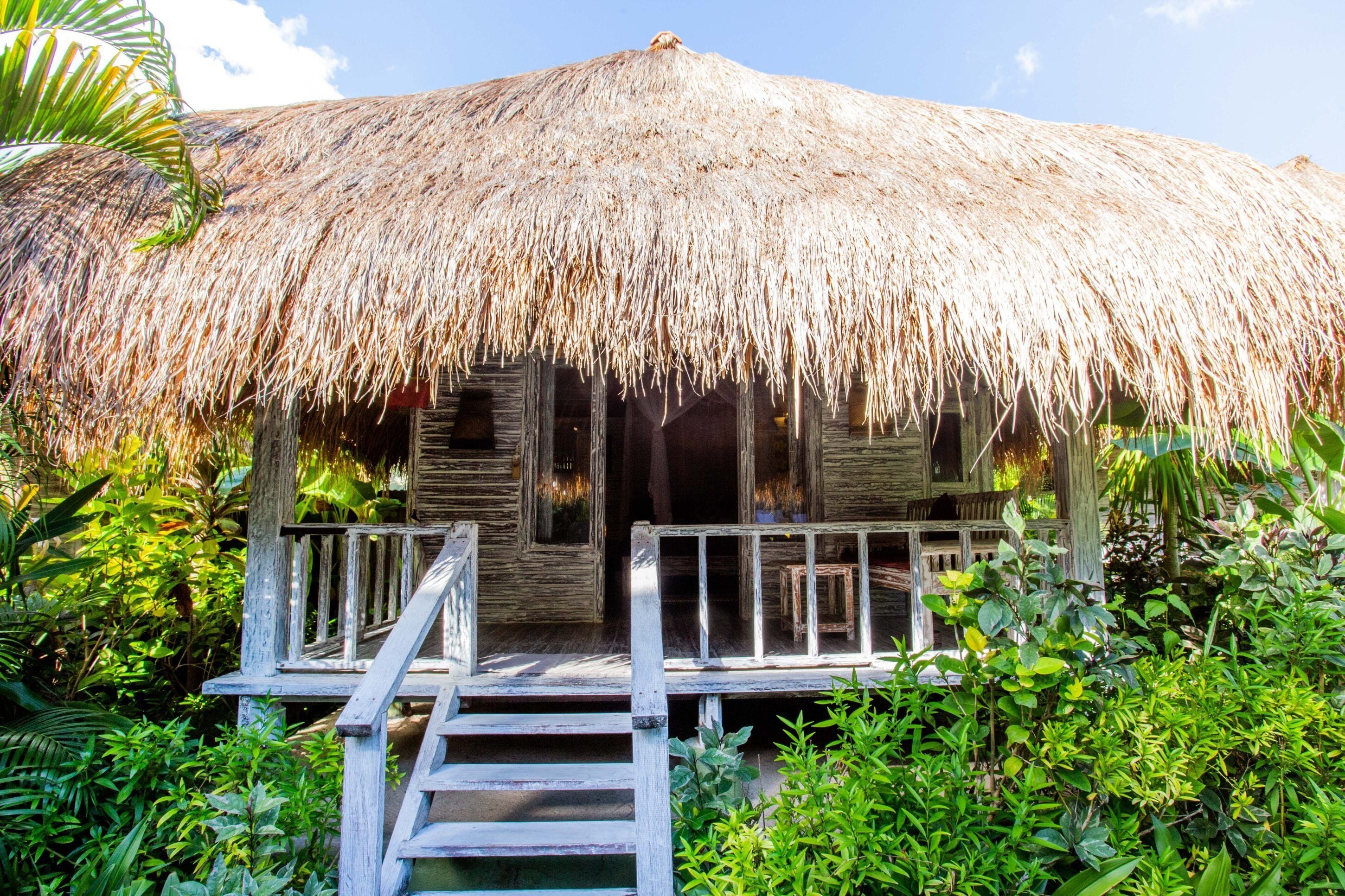 A rustic hut with a thatched roof, surrounded by lush greenery.