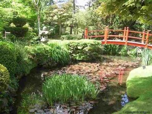 Garden - Central Park Bucharest (Bucharest)