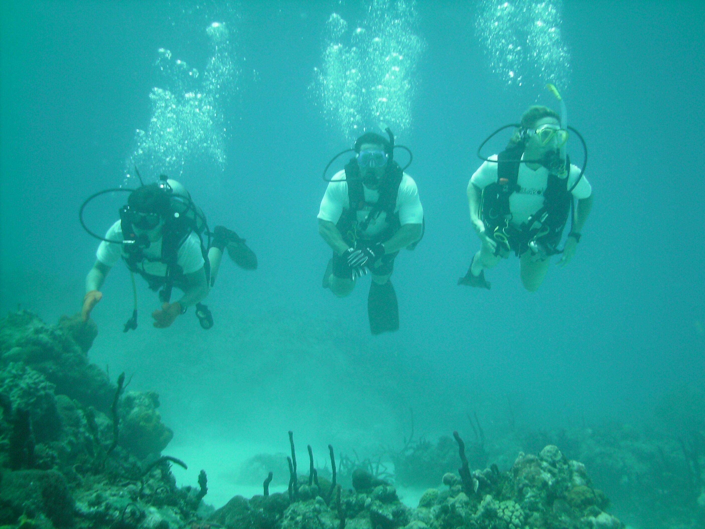 Trois plongeurs sous l’eau, équipés de bouteilles d’oxygène, sont entourés de la faune et de la flore marines, ainsi que de formations coralliennes.