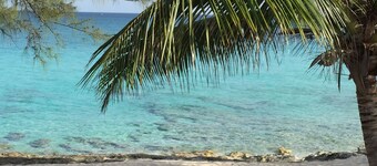 COSY SEASIDE 2 LITS / 2 BAINS BIMINI COTTAGE-BAY VUE DE CÔTÉ - Maison de couleur verte douce