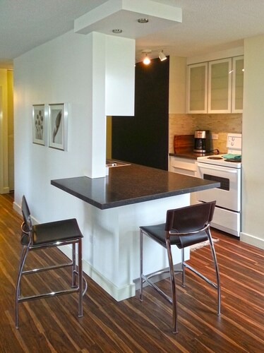 Tastefully renovated large one bedroom condo