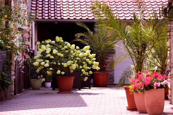 Un camino pavimentado que conduce a un edificio con techo de tejas. Hay varias macetas con flores amarillas y una palmera.