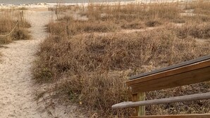 A sandy path leading to a beach with overgrown grass and a wooden bench in the foreground.