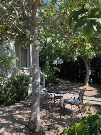 1905 Craftsman,3bdrms 3baths, PETS, Parking, Downtown! 2 blks State St, 7 Beach!
