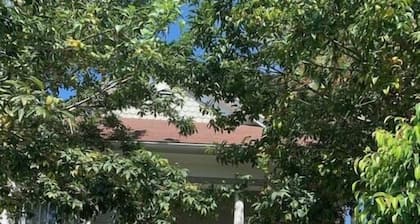 Craftsman Cottage Ocean Breeze, PET, Downtown! 2blks State, 7Bch 5Amtrak