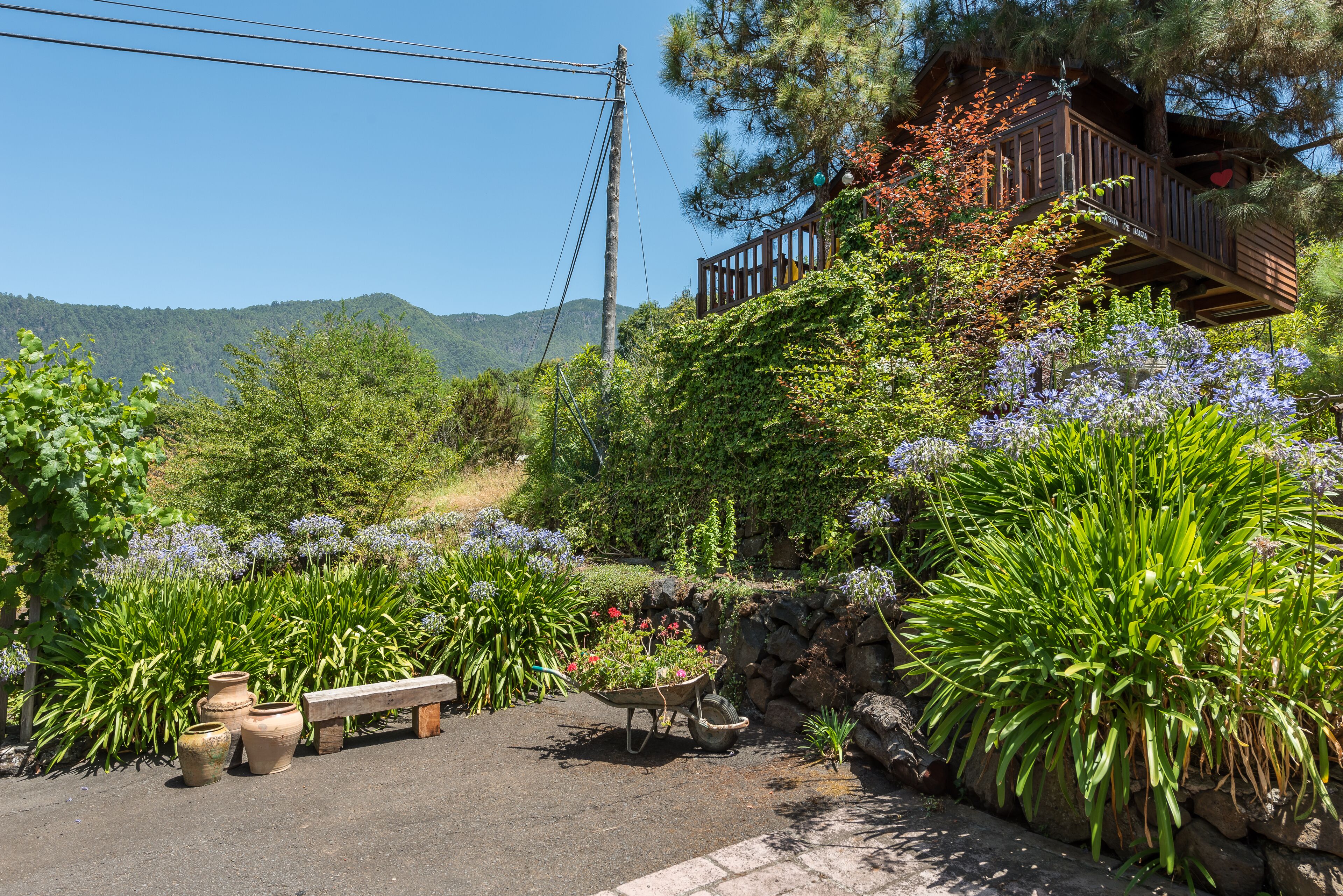 Tree House with farm house