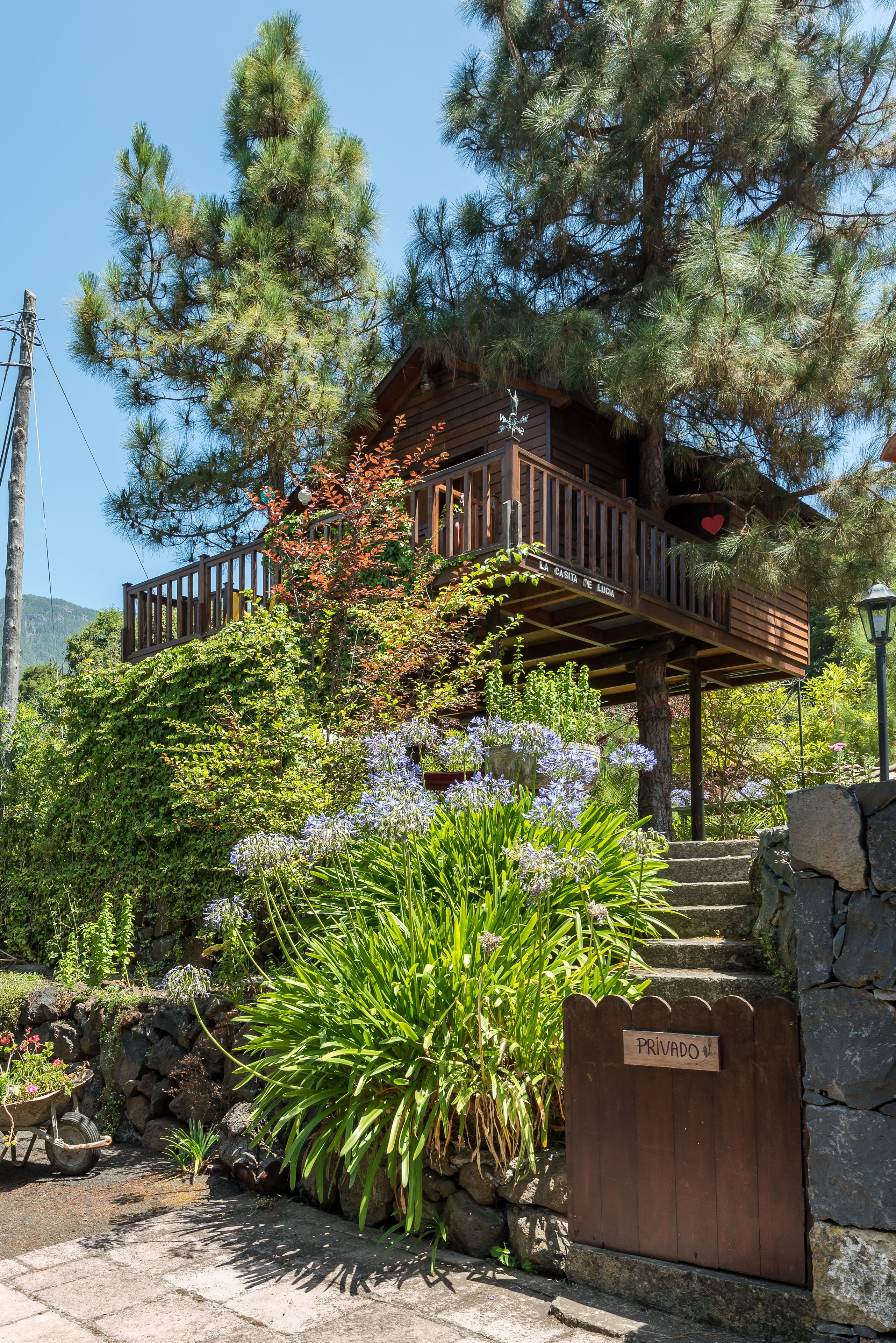 Tree House with farm house