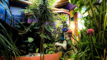 Jardim