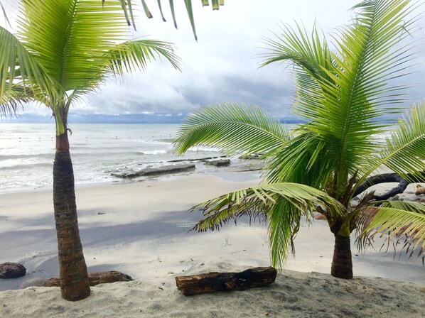 A beach with palm trees and a rocky shoreline.