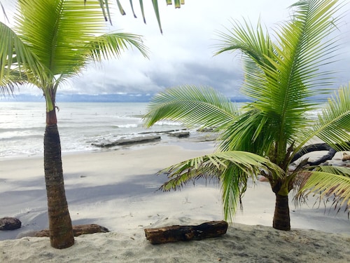 BEACH SIDE PETIT APARTMENT - The place to Put your Watch at the Beach Time!