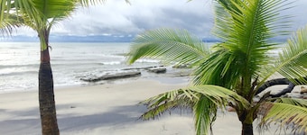 BEACH SIDE PETIT APARTMENT - The place to Put your Watch at the Beach Time!