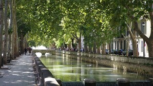 A tree-lined canal with a paved walkway, benches, and a water feature. - Bright cottage with terrace, garden and parking (Lédenon)