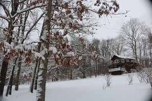 Property grounds - Charming cabin nestled deep in the woods, great for a peaceful getaway (Franklin)