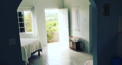 Ebony Cottage, on a hill overlooking the Sea