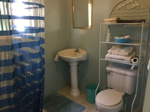 Bathroom features a pedestal sink, toilet, and shelf unit with storage.
