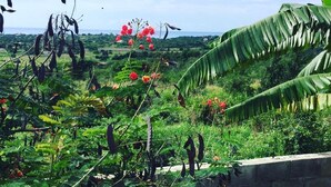 Un jardin luxuriant, avec une variété de plantes et de fleurs, un mur de pierre et une vue imprenable sur le paysage.